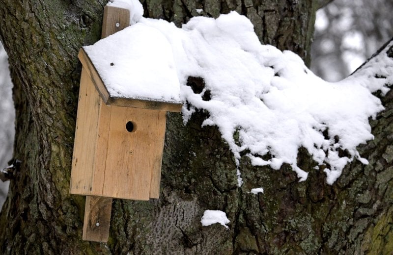 Foto: Janerik Henriksson/TT